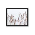Picture of Wheat in the Wind II _GroupedProduct_Rectangle_Landscape_Photography _GroupedProduct_Rectangle_Landscape_Framed_Matted_