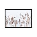 Picture of Wheat in the Wind II _GroupedProduct_Rectangle_Landscape_Photography _GroupedProduct_Rectangle_Landscape_Framed_Matted_