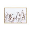 Picture of Wheat in the Wind II _GroupedProduct_Rectangle_Landscape_Photography _GroupedProduct_Rectangle_Landscape_Framed_Matted_