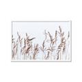 Picture of Wheat in the Wind II _GroupedProduct_Rectangle_Landscape_Photography _GroupedProduct_Rectangle_Landscape_Framed_Matted_