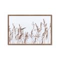 Picture of Wheat in the Wind II _GroupedProduct_Rectangle_Landscape_Photography _GroupedProduct_Rectangle_Landscape_Framed_Matted_