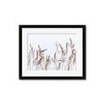 Picture of Wheat in the Wind II _GroupedProduct_Rectangle_Landscape_Photography _GroupedProduct_Rectangle_Landscape_Framed_Matted_