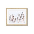 Picture of Wheat in the Wind II _GroupedProduct_Rectangle_Landscape_Photography _GroupedProduct_Rectangle_Landscape_Framed_Matted_
