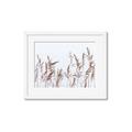 Picture of Wheat in the Wind II _GroupedProduct_Rectangle_Landscape_Photography _GroupedProduct_Rectangle_Landscape_Framed_Matted_