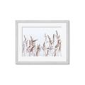 Picture of Wheat in the Wind II _GroupedProduct_Rectangle_Landscape_Photography _GroupedProduct_Rectangle_Landscape_Framed_Matted_