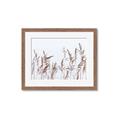 Picture of Wheat in the Wind II _GroupedProduct_Rectangle_Landscape_Photography _GroupedProduct_Rectangle_Landscape_Framed_Matted_