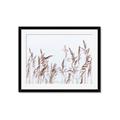 Picture of Wheat in the Wind II _GroupedProduct_Rectangle_Landscape_Photography _GroupedProduct_Rectangle_Landscape_Framed_Matted_