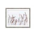 Picture of Wheat in the Wind II _GroupedProduct_Rectangle_Landscape_Photography _GroupedProduct_Rectangle_Landscape_Framed_Matted_