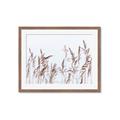 Picture of Wheat in the Wind II _GroupedProduct_Rectangle_Landscape_Photography _GroupedProduct_Rectangle_Landscape_Framed_Matted_