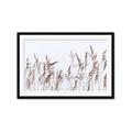 Picture of Wheat in the Wind II _GroupedProduct_Rectangle_Landscape_Photography _GroupedProduct_Rectangle_Landscape_Framed_Matted_