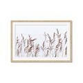 Picture of Wheat in the Wind II _GroupedProduct_Rectangle_Landscape_Photography _GroupedProduct_Rectangle_Landscape_Framed_Matted_