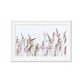 Picture of Wheat in the Wind II _GroupedProduct_Rectangle_Landscape_Photography _GroupedProduct_Rectangle_Landscape_Framed_Matted_