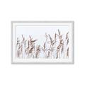 Picture of Wheat in the Wind II _GroupedProduct_Rectangle_Landscape_Photography _GroupedProduct_Rectangle_Landscape_Framed_Matted_
