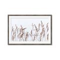 Picture of Wheat in the Wind II _GroupedProduct_Rectangle_Landscape_Photography _GroupedProduct_Rectangle_Landscape_Framed_Matted_