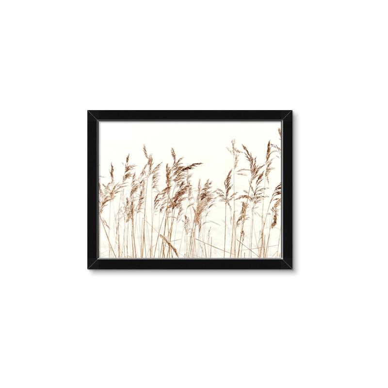 Picture of Wheat in the Wind IV _GroupedProduct_Rectangle_Landscape_Photography _GroupedProduct_Rectangle_Landscape_Framed_Matted_