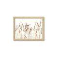 Picture of Wheat in the Wind IV _GroupedProduct_Rectangle_Landscape_Photography _GroupedProduct_Rectangle_Landscape_Framed_Matted_