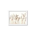 Picture of Wheat in the Wind IV _GroupedProduct_Rectangle_Landscape_Photography _GroupedProduct_Rectangle_Landscape_Framed_Matted_