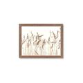 Picture of Wheat in the Wind IV _GroupedProduct_Rectangle_Landscape_Photography _GroupedProduct_Rectangle_Landscape_Framed_Matted_