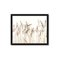 Picture of Wheat in the Wind IV _GroupedProduct_Rectangle_Landscape_Photography _GroupedProduct_Rectangle_Landscape_Framed_Matted_
