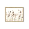 Picture of Wheat in the Wind IV _GroupedProduct_Rectangle_Landscape_Photography _GroupedProduct_Rectangle_Landscape_Framed_Matted_