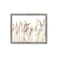 Picture of Wheat in the Wind IV _GroupedProduct_Rectangle_Landscape_Photography _GroupedProduct_Rectangle_Landscape_Framed_Matted_