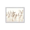 Picture of Wheat in the Wind IV _GroupedProduct_Rectangle_Landscape_Photography _GroupedProduct_Rectangle_Landscape_Framed_Matted_