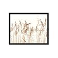 Picture of Wheat in the Wind IV _GroupedProduct_Rectangle_Landscape_Photography _GroupedProduct_Rectangle_Landscape_Framed_Matted_