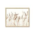 Picture of Wheat in the Wind IV _GroupedProduct_Rectangle_Landscape_Photography _GroupedProduct_Rectangle_Landscape_Framed_Matted_