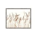 Picture of Wheat in the Wind IV _GroupedProduct_Rectangle_Landscape_Photography _GroupedProduct_Rectangle_Landscape_Framed_Matted_