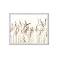 Picture of Wheat in the Wind IV _GroupedProduct_Rectangle_Landscape_Photography _GroupedProduct_Rectangle_Landscape_Framed_Matted_