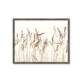 Picture of Wheat in the Wind IV _GroupedProduct_Rectangle_Landscape_Photography _GroupedProduct_Rectangle_Landscape_Framed_Matted_