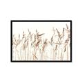 Picture of Wheat in the Wind IV _GroupedProduct_Rectangle_Landscape_Photography _GroupedProduct_Rectangle_Landscape_Framed_Matted_
