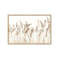 Picture of Wheat in the Wind IV _GroupedProduct_Rectangle_Landscape_Photography _GroupedProduct_Rectangle_Landscape_Framed_Matted_