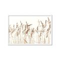 Picture of Wheat in the Wind IV _GroupedProduct_Rectangle_Landscape_Photography _GroupedProduct_Rectangle_Landscape_Framed_Matted_
