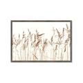 Picture of Wheat in the Wind IV _GroupedProduct_Rectangle_Landscape_Photography _GroupedProduct_Rectangle_Landscape_Framed_Matted_