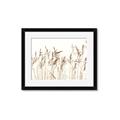 Picture of Wheat in the Wind IV _GroupedProduct_Rectangle_Landscape_Photography _GroupedProduct_Rectangle_Landscape_Framed_Matted_