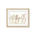 Picture of Wheat in the Wind IV _GroupedProduct_Rectangle_Landscape_Photography _GroupedProduct_Rectangle_Landscape_Framed_Matted_