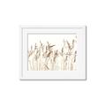 Picture of Wheat in the Wind IV _GroupedProduct_Rectangle_Landscape_Photography _GroupedProduct_Rectangle_Landscape_Framed_Matted_