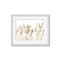 Picture of Wheat in the Wind IV _GroupedProduct_Rectangle_Landscape_Photography _GroupedProduct_Rectangle_Landscape_Framed_Matted_