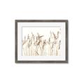 Picture of Wheat in the Wind IV _GroupedProduct_Rectangle_Landscape_Photography _GroupedProduct_Rectangle_Landscape_Framed_Matted_