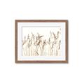 Picture of Wheat in the Wind IV _GroupedProduct_Rectangle_Landscape_Photography _GroupedProduct_Rectangle_Landscape_Framed_Matted_