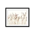 Picture of Wheat in the Wind IV _GroupedProduct_Rectangle_Landscape_Photography _GroupedProduct_Rectangle_Landscape_Framed_Matted_