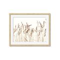 Picture of Wheat in the Wind IV _GroupedProduct_Rectangle_Landscape_Photography _GroupedProduct_Rectangle_Landscape_Framed_Matted_