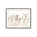 Picture of Wheat in the Wind IV _GroupedProduct_Rectangle_Landscape_Photography _GroupedProduct_Rectangle_Landscape_Framed_Matted_