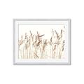 Picture of Wheat in the Wind IV _GroupedProduct_Rectangle_Landscape_Photography _GroupedProduct_Rectangle_Landscape_Framed_Matted_