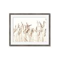 Picture of Wheat in the Wind IV _GroupedProduct_Rectangle_Landscape_Photography _GroupedProduct_Rectangle_Landscape_Framed_Matted_