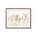 Picture of Wheat in the Wind IV _GroupedProduct_Rectangle_Landscape_Photography _GroupedProduct_Rectangle_Landscape_Framed_Matted_