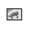 Picture of Flying in colour _GroupedProduct_Rectangle_Landscape_Framed_Matted_