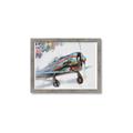 Picture of Flying in colour _GroupedProduct_Rectangle_Landscape_Framed_Matted_