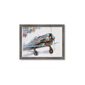 Picture of Flying in colour _GroupedProduct_Rectangle_Landscape_Framed_Matted_